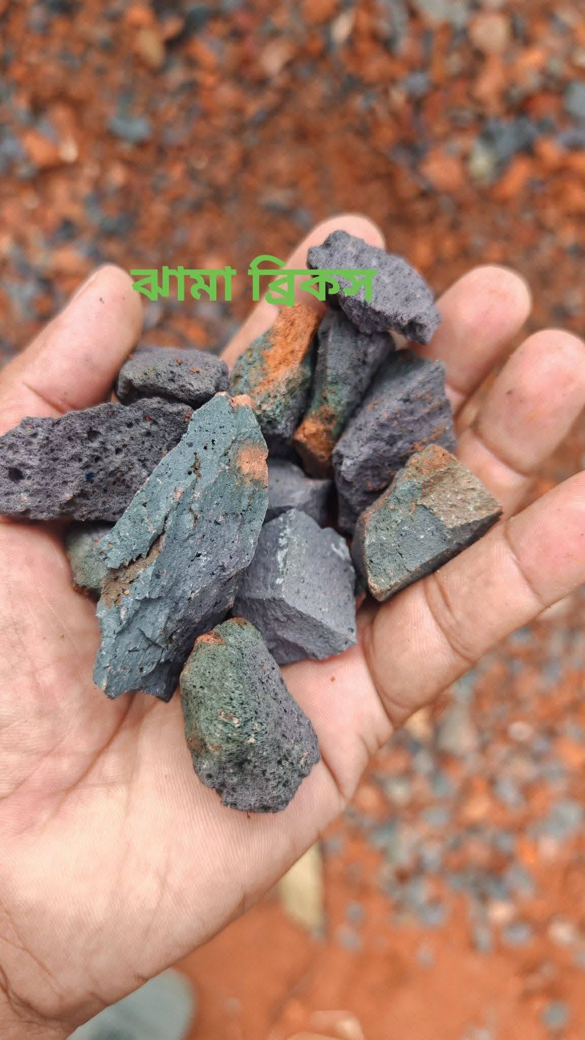 ঝামা ব্রিকস